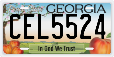 GA license plate CEL5524