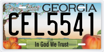 GA license plate CEL5541