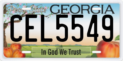 GA license plate CEL5549