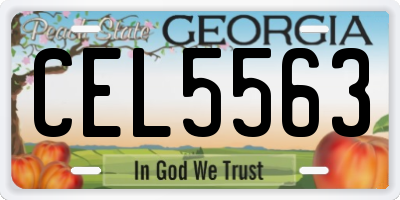 GA license plate CEL5563