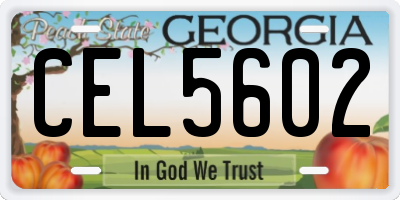GA license plate CEL5602