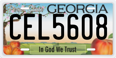 GA license plate CEL5608