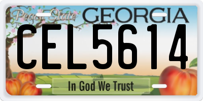GA license plate CEL5614