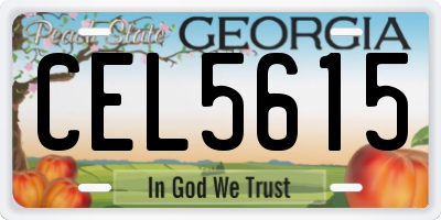 GA license plate CEL5615