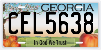 GA license plate CEL5638