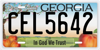 GA license plate CEL5642