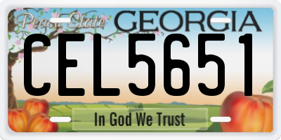 GA license plate CEL5651