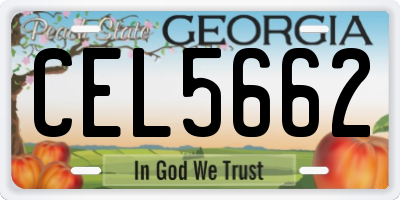 GA license plate CEL5662