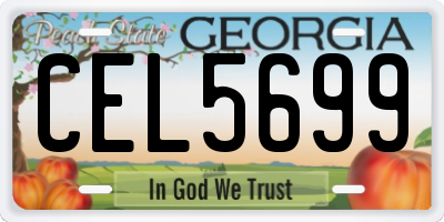 GA license plate CEL5699