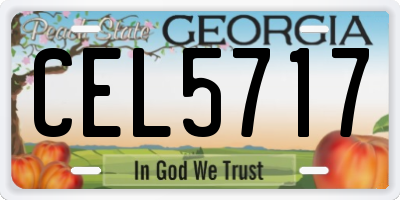 GA license plate CEL5717