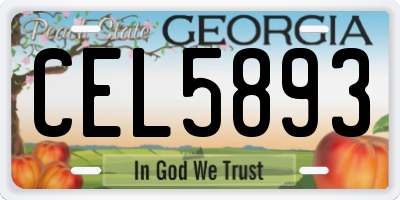 GA license plate CEL5893