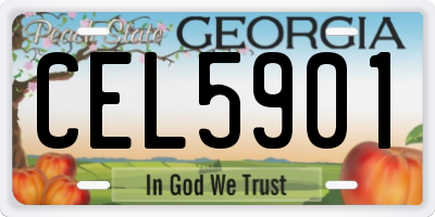 GA license plate CEL5901