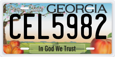 GA license plate CEL5982