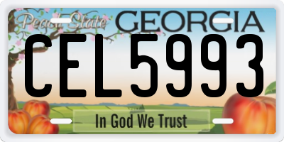 GA license plate CEL5993