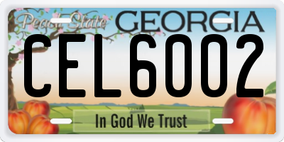 GA license plate CEL6002