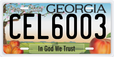 GA license plate CEL6003