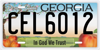 GA license plate CEL6012