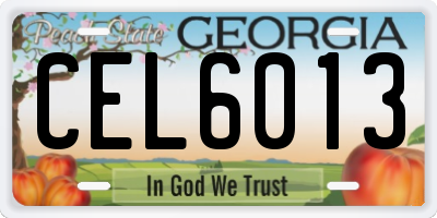 GA license plate CEL6013
