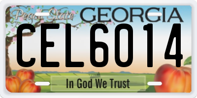 GA license plate CEL6014