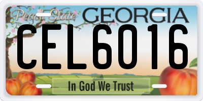 GA license plate CEL6016