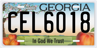 GA license plate CEL6018