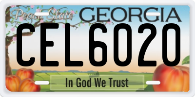 GA license plate CEL6020
