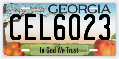 GA license plate CEL6023