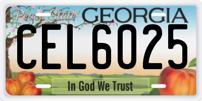 GA license plate CEL6025