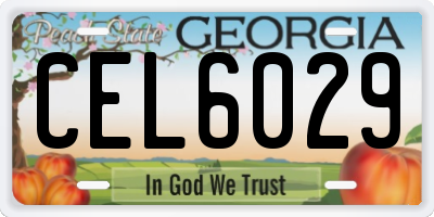 GA license plate CEL6029