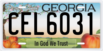 GA license plate CEL6031