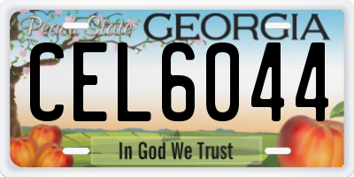 GA license plate CEL6044