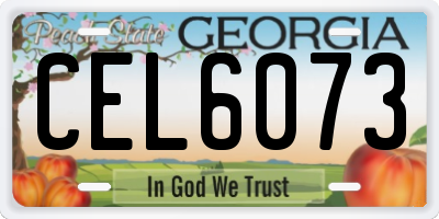 GA license plate CEL6073