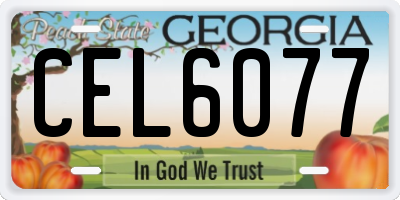 GA license plate CEL6077