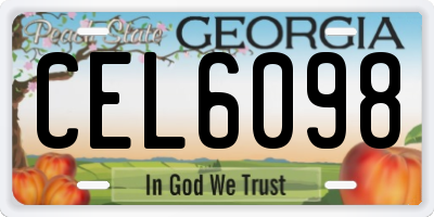 GA license plate CEL6098