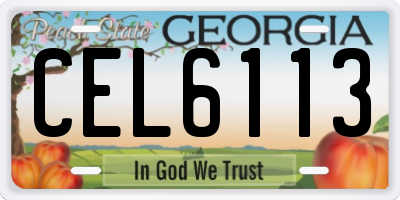 GA license plate CEL6113