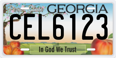 GA license plate CEL6123