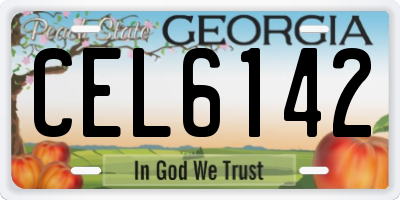 GA license plate CEL6142