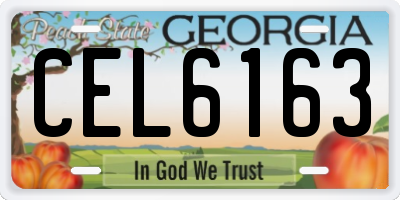 GA license plate CEL6163