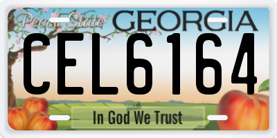GA license plate CEL6164