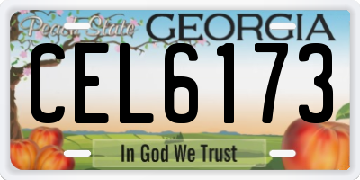 GA license plate CEL6173