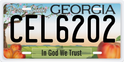 GA license plate CEL6202