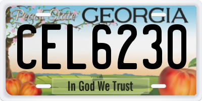 GA license plate CEL6230