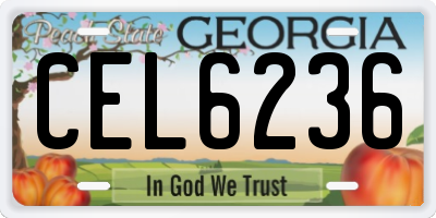 GA license plate CEL6236