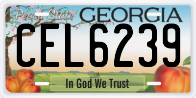 GA license plate CEL6239
