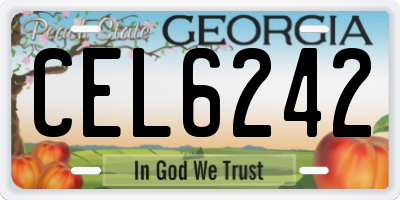 GA license plate CEL6242