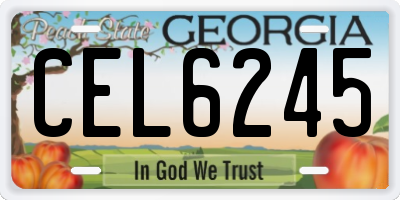 GA license plate CEL6245
