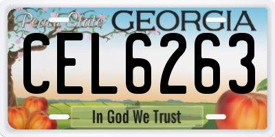GA license plate CEL6263