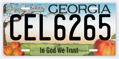 GA license plate CEL6265