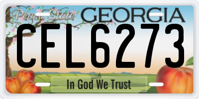 GA license plate CEL6273