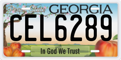 GA license plate CEL6289